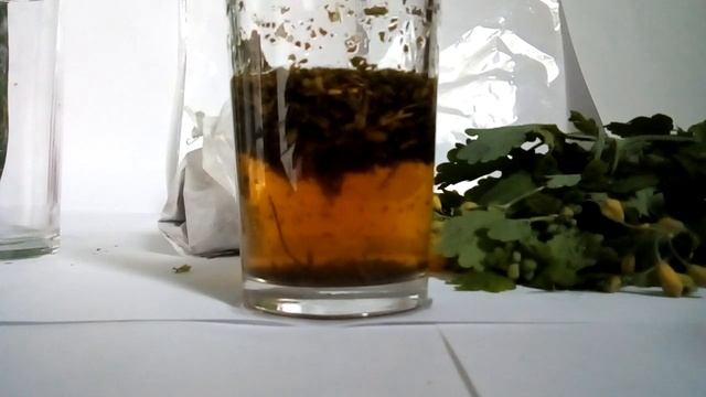 Чистотел от чесотки.Как делаю я. смотреть онлайн