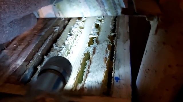 Течением зимовки пчел доволен. 08 января 2021/ пчеловодство зимой смотреть онлайн