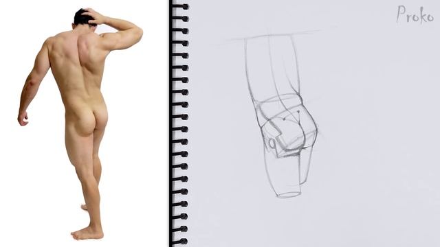 How to Draw Butts From Any Angle смотреть онлайн
