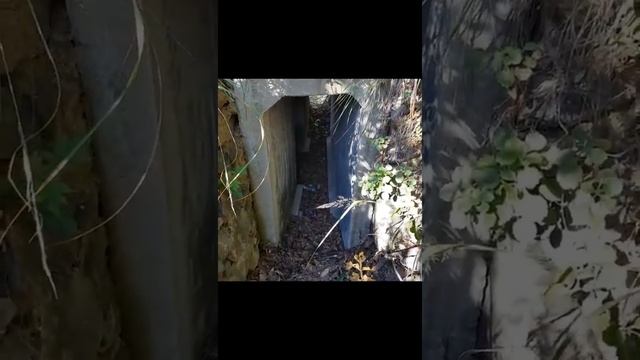 Корея, Инчхон, прогулка, гора Cheolmasan. смотреть онлайн