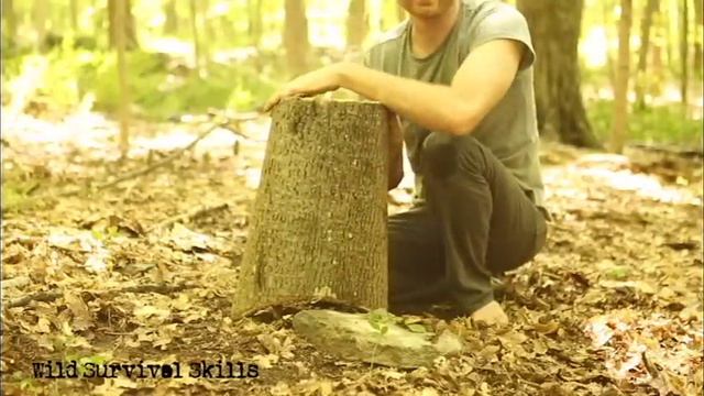Solo Survival part 2: How to Survive Alone in the Wilderness for 1 week --Eastern Woodlands смотреть онлайн