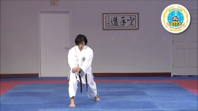 Saifa - International Hayashi-Ha Shito-Ryu смотреть онлайн