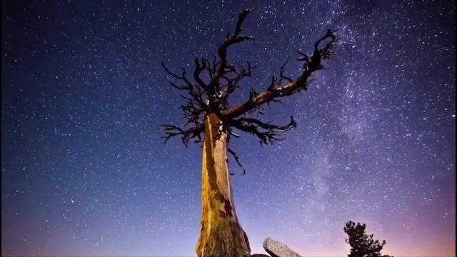 Стих с глубоким смыслом смотреть онлайн