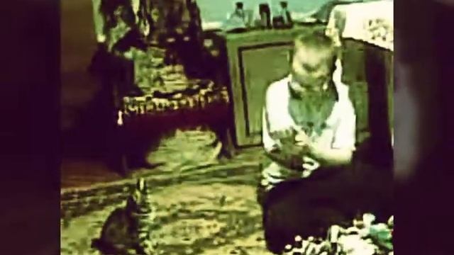 Я играю со своей кошкой Сонькой.Старое видео-1.Из архива.Примерно 2008 год.Часть-1 смотреть онлайн