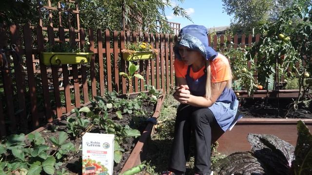 Важно!!! Чем подкормить клубнику осенью ? смотреть онлайн