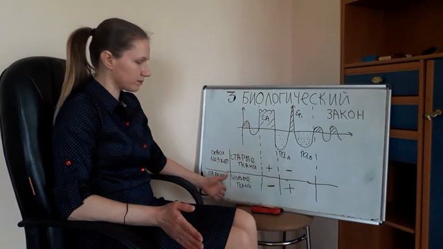 Третий Биологический Закон | Германская Новая Медицина смотреть онлайн