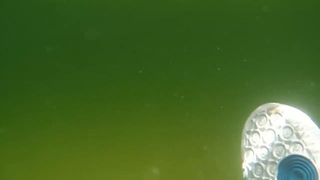 Adidas FORUM mid & Adidas socks смотреть онлайн