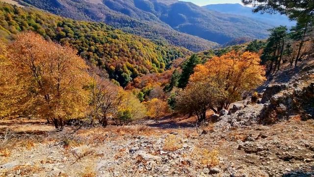 Национальный парк Крымский. Самый дорогой и самый невероятный парк в Крыму! смотреть онлайн