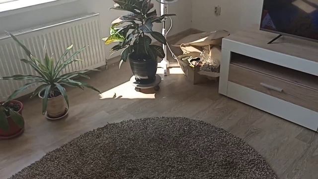 Беларусь | Пустой холодильник | Жареная картошка | Выбрали цвет камина | Арбуз и другие покупки смотреть онлайн