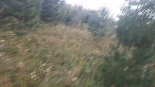 Плодородие почвы с нуля Вопрос смотреть онлайн