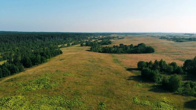 Кавголово. За озером (зарисовка) смотреть онлайн