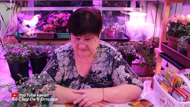 КОГДА ЖЕ ПОСЕЯТЬ ПЕРЕЦ И БАКЛАЖАНЫ?! КАК РАССЧИТАТЬ ПРАВИЛЬНЫЕ СРОКИ ПОСЕВА. смотреть онлайн