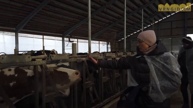 Экскурсия на ферму Эконива смотреть онлайн