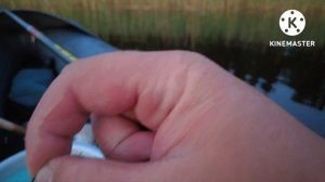 Лосево Рыбалка на Суходольском озере