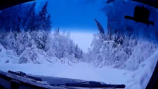 Трасса Вологда-Солза-Каргополь смотреть онлайн