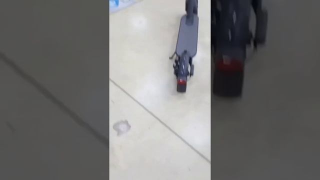 Xiaomi Mi1S, monopattino elettrico / electric kick scooter смотреть онлайн