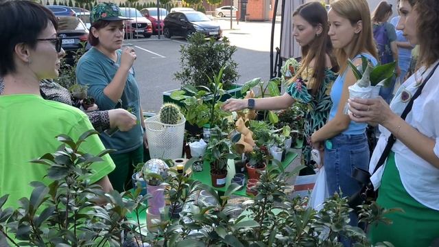 Наш первый экспериментальный своп с 