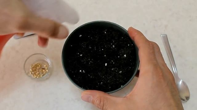 ROSE moltiplicale gratis all infinito, planta de rosa de la semilla, rose de graines смотреть онлайн