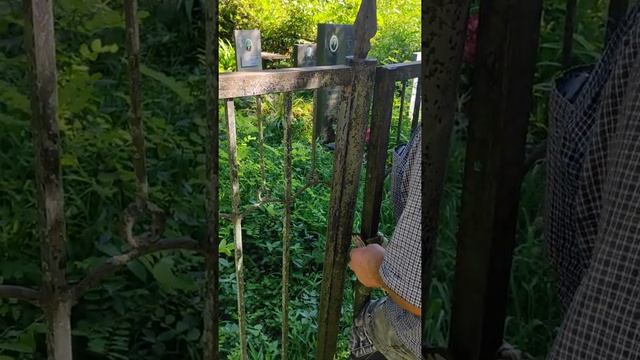 с.Бамбора, р.Абхазия смотреть онлайн