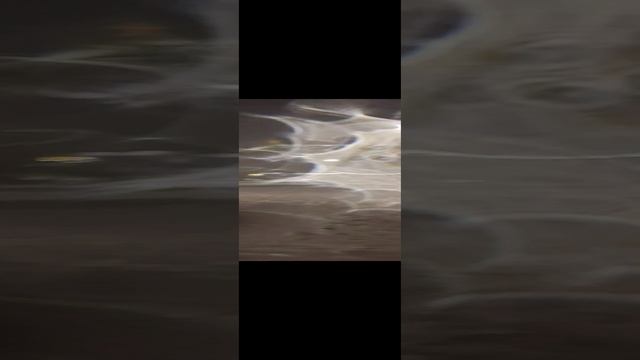 VID_20221221_184721060.mp4