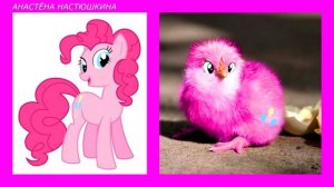 My Little Pony chickens / Мои маленькие пони в виде ЦЫПЛЯТ