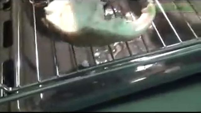 Готовим рыбу на гриле в духовке Bosch смотреть онлайн