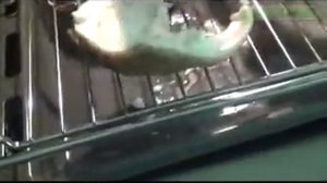 Готовим рыбу на гриле в духовке Bosch