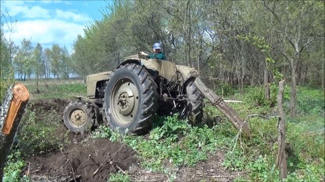 СТАРЕНЬКИЙ МТЗ-50 ВЫРЫВАЕТ ПНИ смотреть онлайн