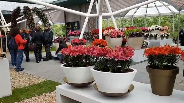 Keukenhof Tulip Festival 2016 смотреть онлайн