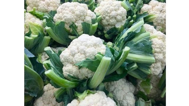 TOP 10 ZERO CALORIE FOODS FOR EXTREME WEIGHT LOSS | NEGATIVE CALORIE FOODS IN TAMIL смотреть онлайн