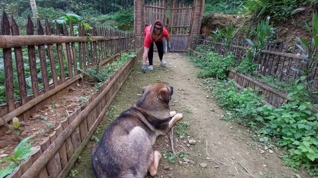 Night of Fear... Brave - Bad guys targeted my farm in the night | Alone survival & Living Off Grid смотреть онлайн