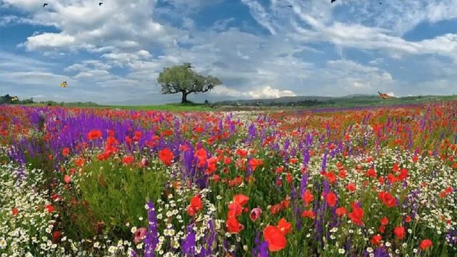 Рисование с элементами аппликации «Цветы в вазе» смотреть онлайн