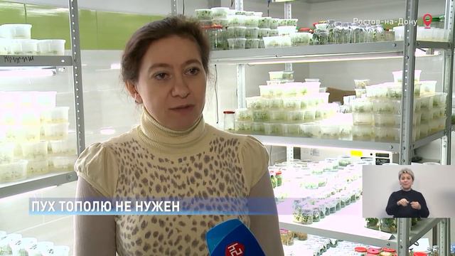 Неделя-на-Дону от 8 февраля 2019