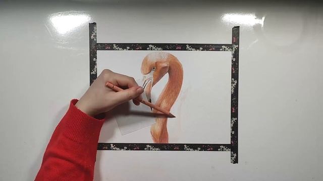 How To Draw A Flamingo With Colored Pencils ?? How To Draw Animals With Colored Pencils смотреть онлайн