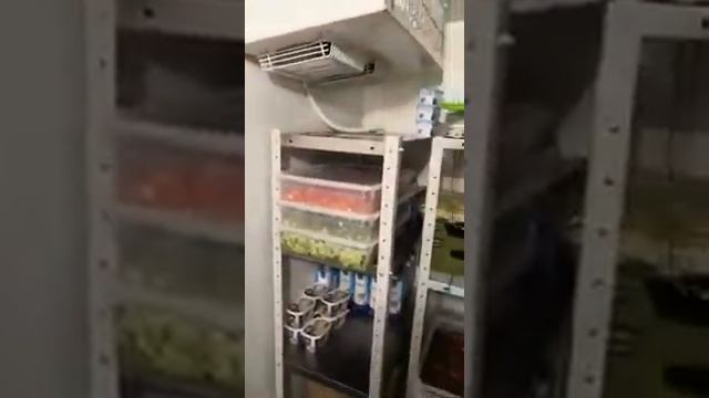 Ремонт производственного холодильного оборудования. Холодильное оборудование Polair. смотреть онлайн