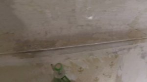 4. Чистим потолок  и карниз от водоэмульсионной краски и мела.  Реставрация потолка в старом доме.