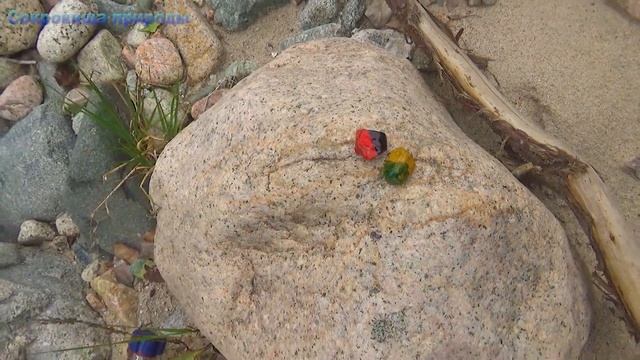 Очень большое содержание меди возле речки смотреть онлайн