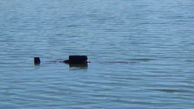 Радиоуправляемая модель пл Тайфун ч 3 смотреть онлайн