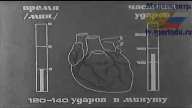 Рукопашный бой Развитие силы, скорости и выносливости Советский союз смотреть онлайн