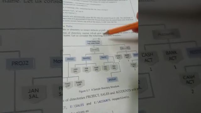class 12 cs file handling- standard input/output,with, absolute and relative path смотреть онлайн