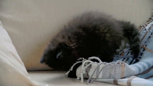 Стихотворение "Добро души" Автор Александр Григорьев. смотреть онлайн