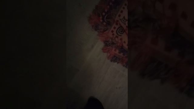 Собака в противогазе :) смотреть онлайн
