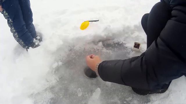 Первая рыбалка 2019. Ловля щуки на жерлицы смотреть онлайн