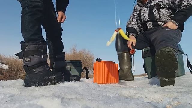Ловля Живца зимой.Река Жабай кишит рыбой. смотреть онлайн
