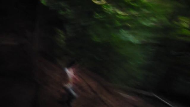 Полуночный спуск по Brandsche Treppe. Германия. смотреть онлайн