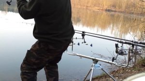 КАРПОВАЯ РЫБАЛКА  Работа сигнализаторов