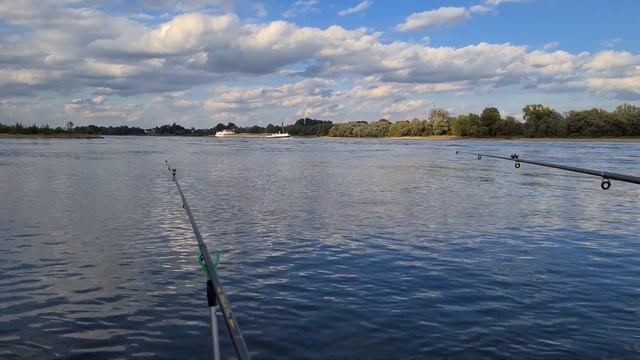 Ловим судака на бычка. Рыбалка на судака. Рыбалка на Рейне. Рыбалка в Германии на судака. 4К видео смотреть онлайн