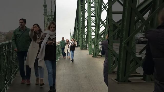 Мост Свободы( Будапешт-01.11.22). смотреть онлайн