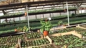 Садовник профессия на все времена