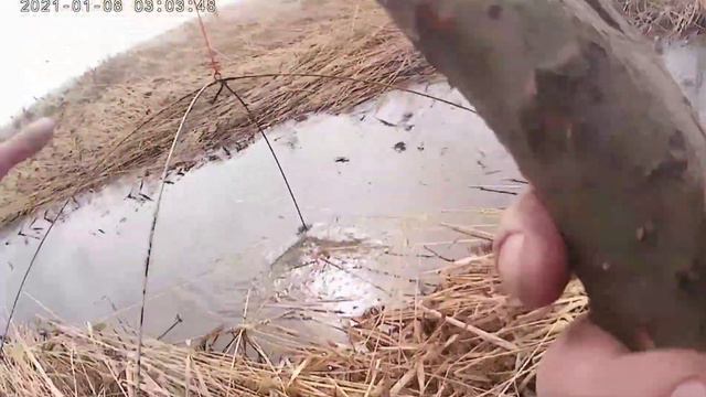 Ловим карася на паук смотреть онлайн